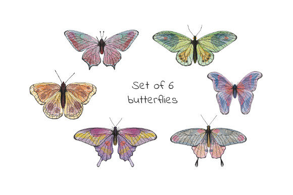 Multicolored Butterflies Set Review